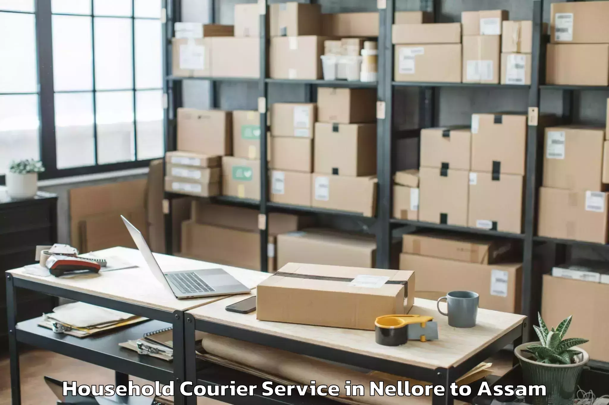 Professional Nellore to Moranhat Household Courier